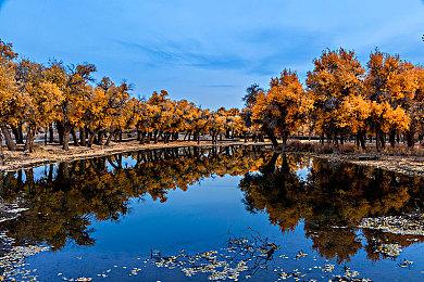 通过Steam Deck验证的《辐射4》表现似乎更差了